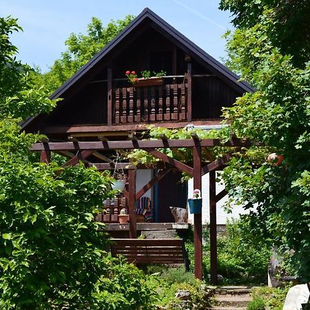 Na Okić - a private forest oasis Sveti Martin pod Okicem Zewnętrze zdjęcie