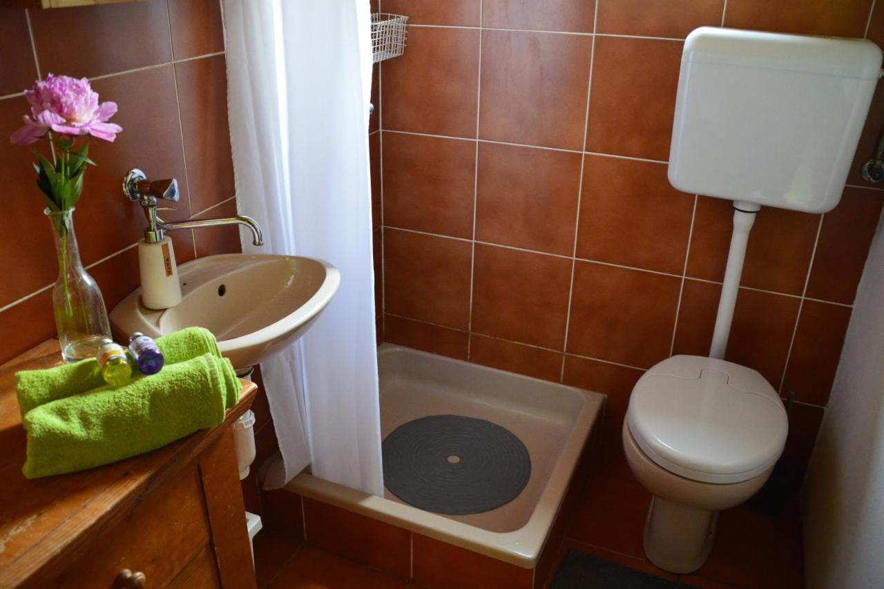Na Okić - a private forest oasis Sveti Martin pod Okicem Zewnętrze zdjęcie