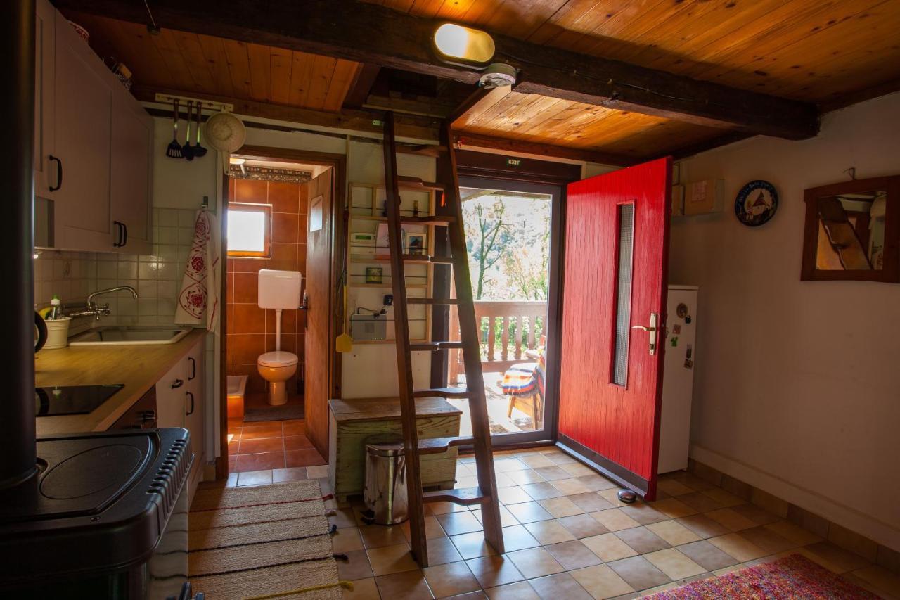 Na Okić - a private forest oasis Sveti Martin pod Okicem Zewnętrze zdjęcie