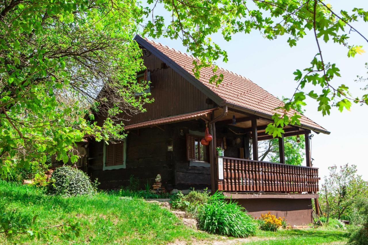 Na Okić - a private forest oasis Sveti Martin pod Okicem Zewnętrze zdjęcie