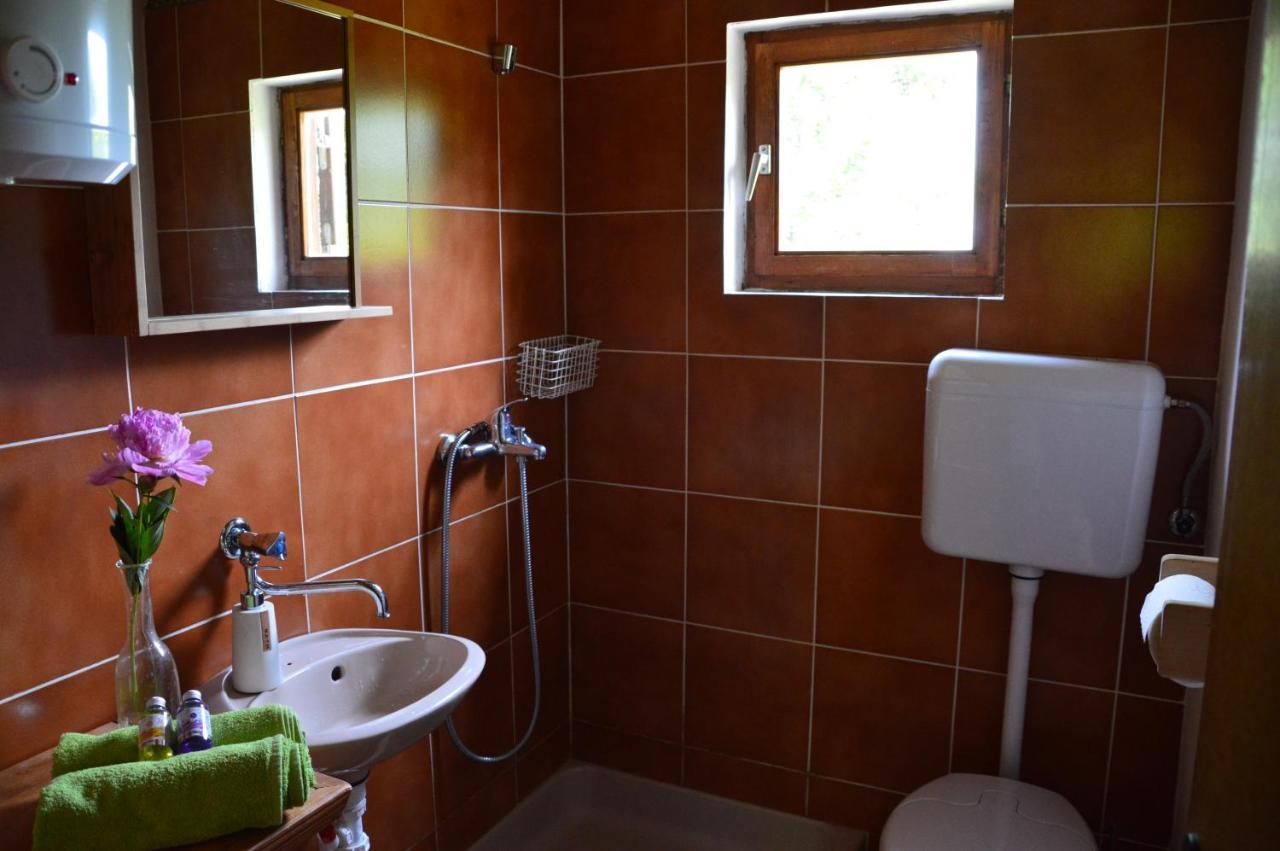 Na Okić - a private forest oasis Sveti Martin pod Okicem Zewnętrze zdjęcie