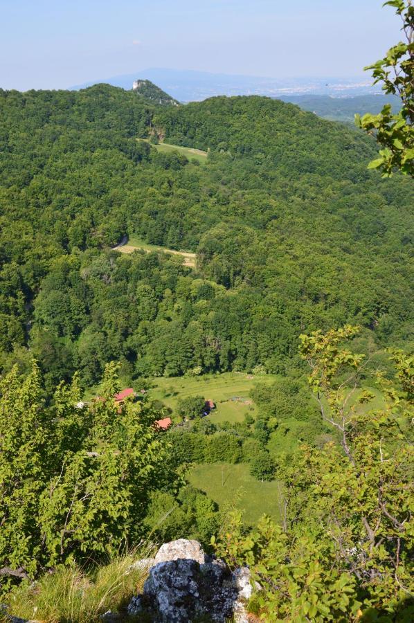 Na Okić - a private forest oasis Sveti Martin pod Okicem Zewnętrze zdjęcie
