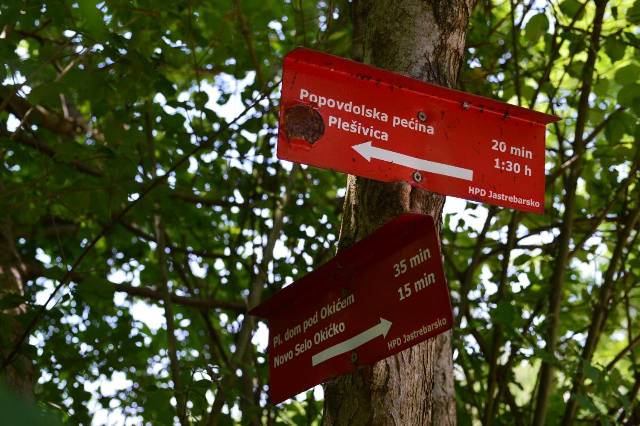 Na Okić - a private forest oasis Sveti Martin pod Okicem Zewnętrze zdjęcie