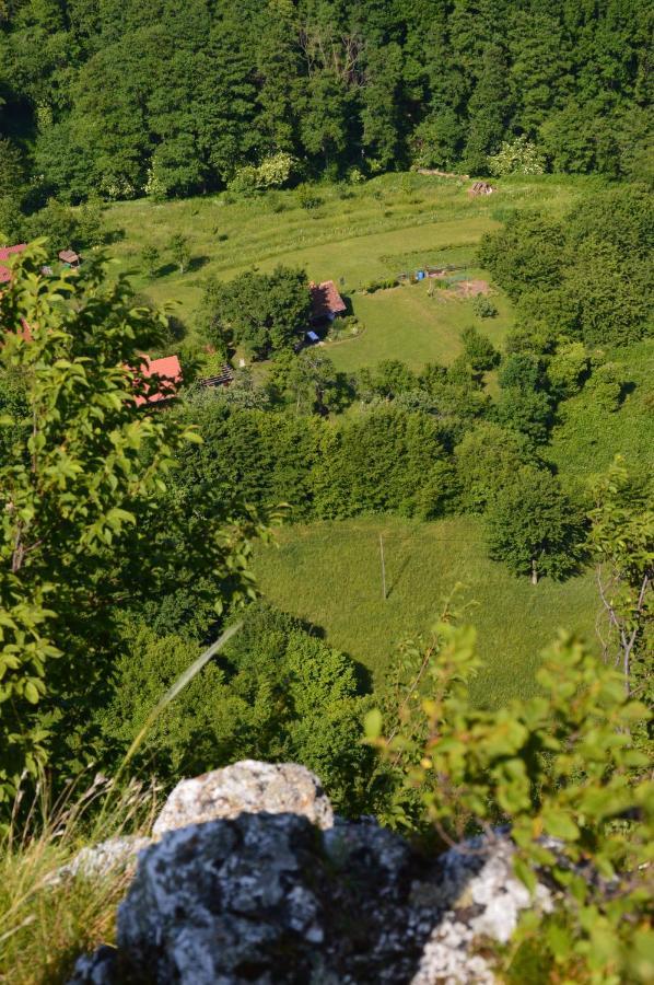 Na Okić - a private forest oasis Sveti Martin pod Okicem Zewnętrze zdjęcie