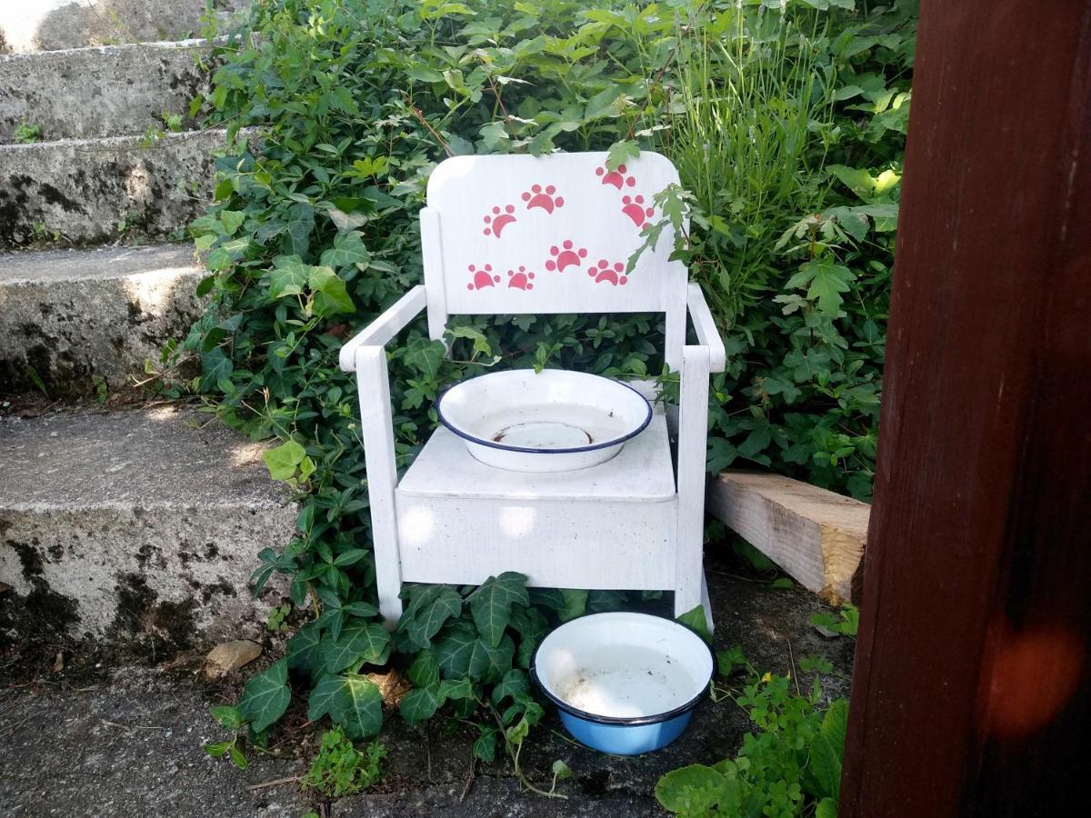 Na Okić - a private forest oasis Sveti Martin pod Okicem Zewnętrze zdjęcie