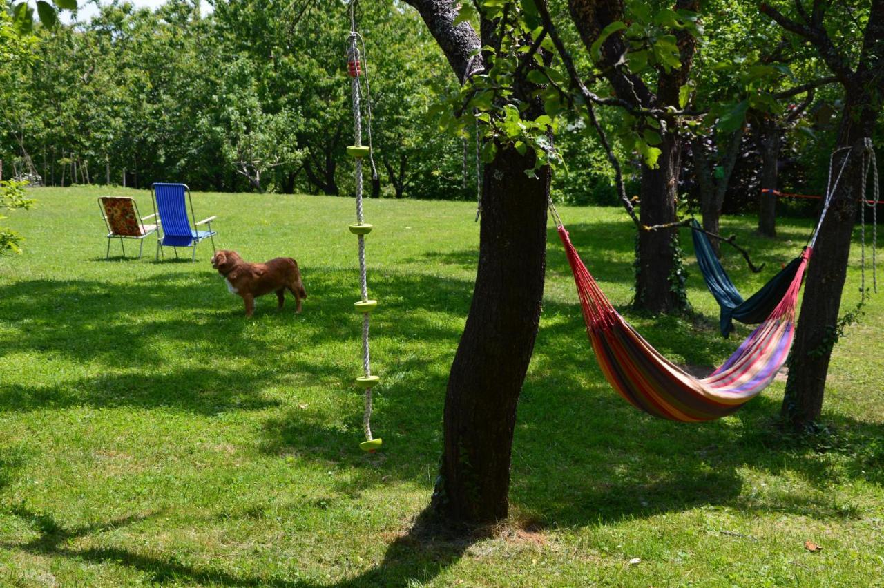 Na Okić - a private forest oasis Sveti Martin pod Okicem Zewnętrze zdjęcie