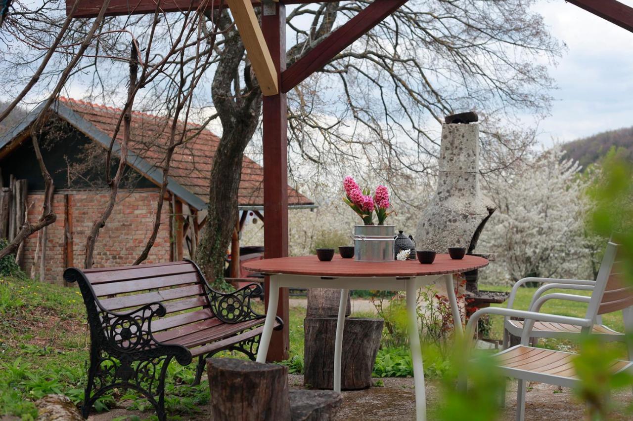 Na Okić - a private forest oasis Sveti Martin pod Okicem Zewnętrze zdjęcie