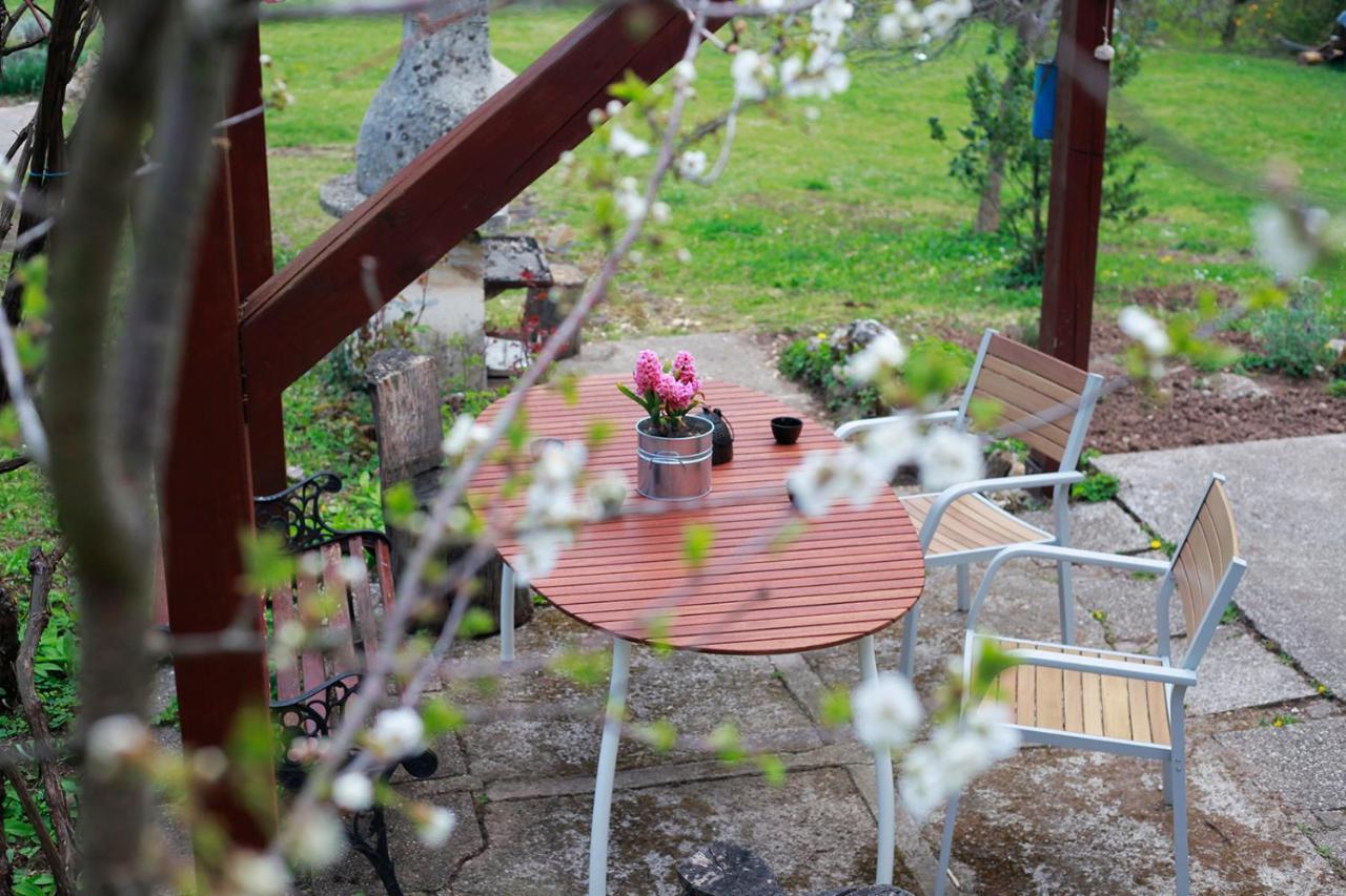 Na Okić - a private forest oasis Sveti Martin pod Okicem Zewnętrze zdjęcie