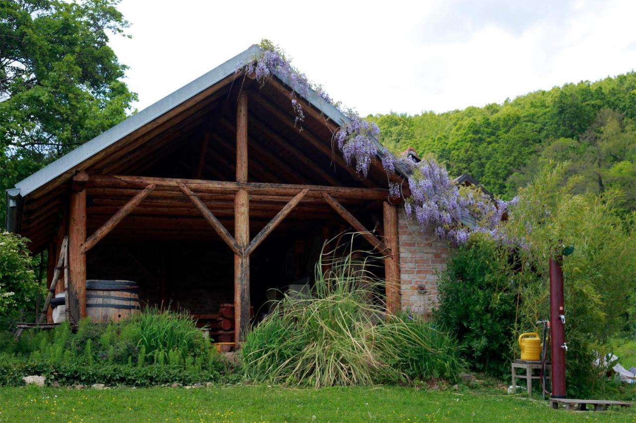 Na Okić - a private forest oasis Sveti Martin pod Okicem Zewnętrze zdjęcie