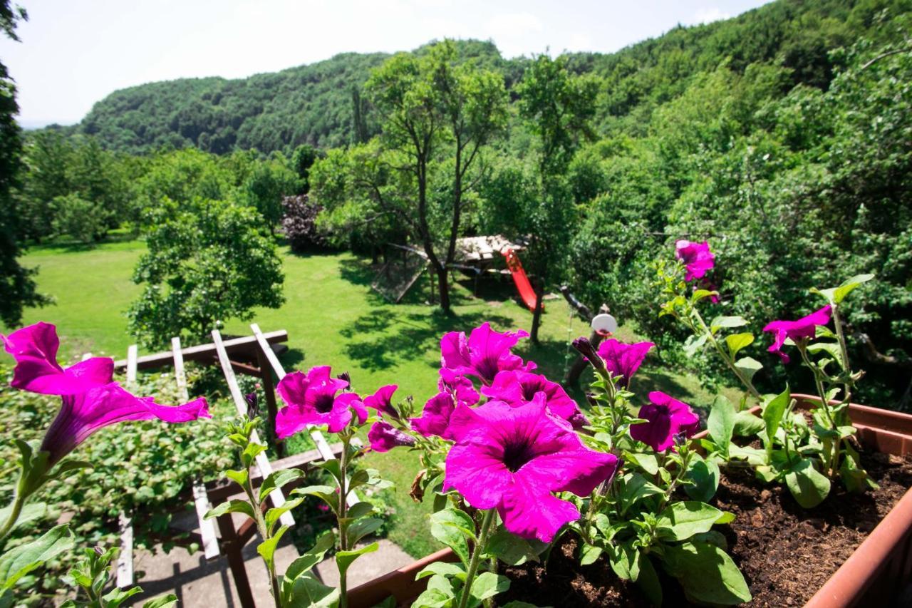 Na Okić - a private forest oasis Sveti Martin pod Okicem Zewnętrze zdjęcie
