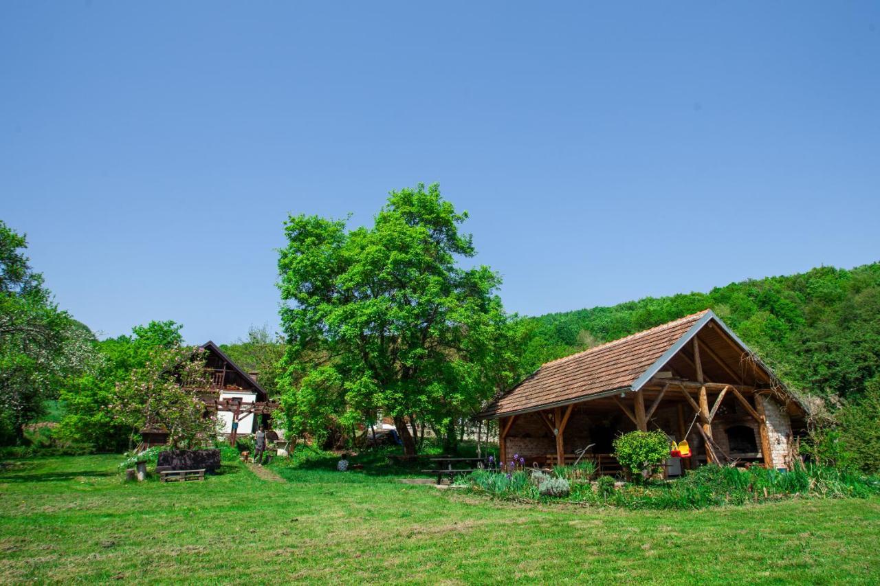 Na Okić - a private forest oasis Sveti Martin pod Okicem Zewnętrze zdjęcie